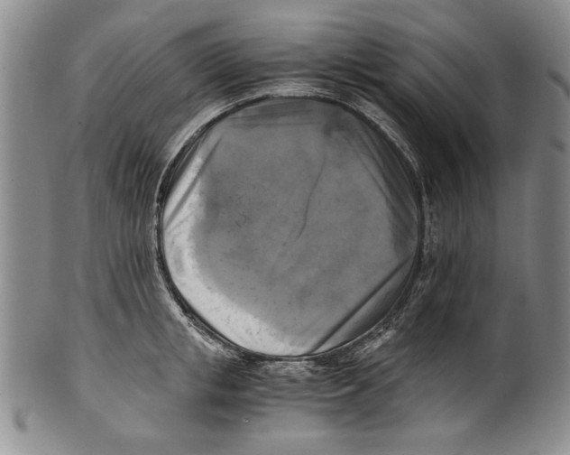 X0000100760853200807171340