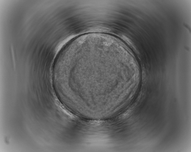 X0000100760854200807171340