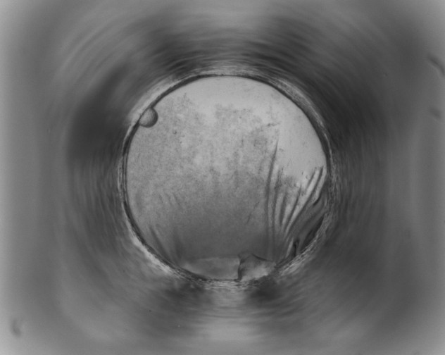 X0000100760855200807171340