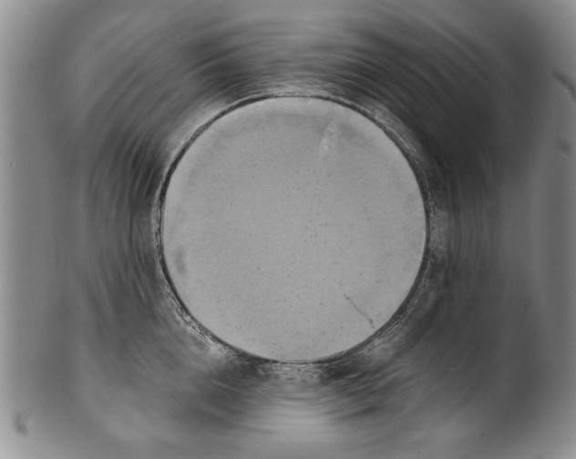 X0000100760856200807171340