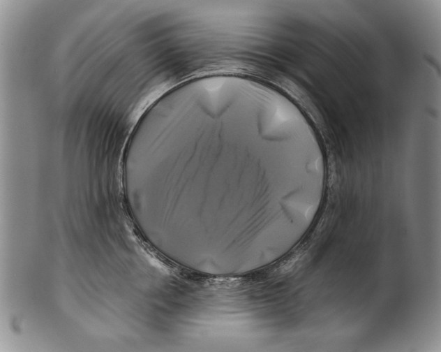X0000100760858200807171340