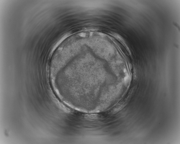 X0000100760859200807171340