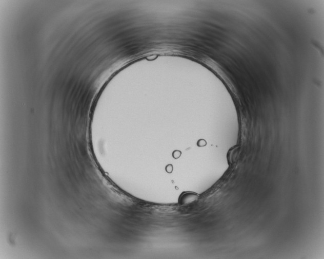 X0000100760861200807171340