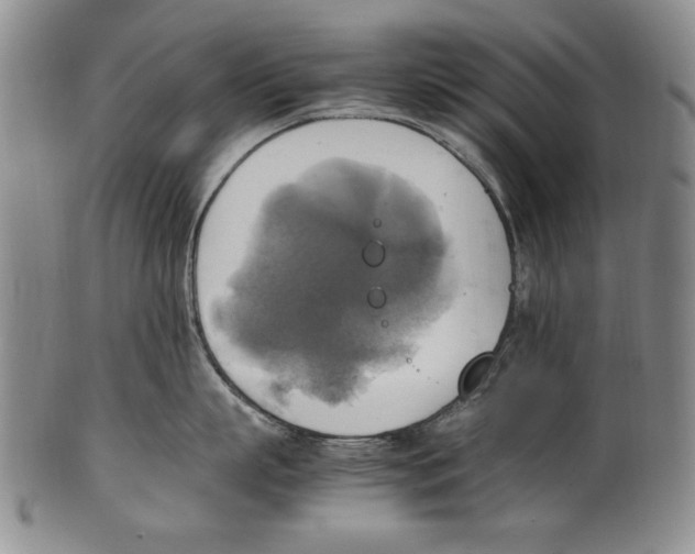 X0000100760863200807171340