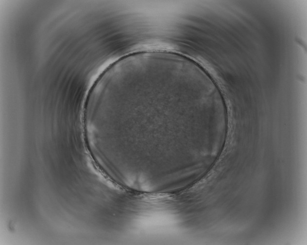 X0000100760864200807171340