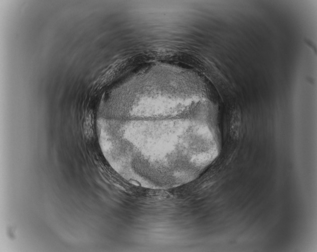 X0000100760866200807171339