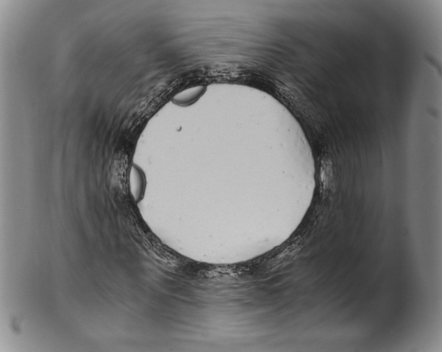 X0000100760867200807171339