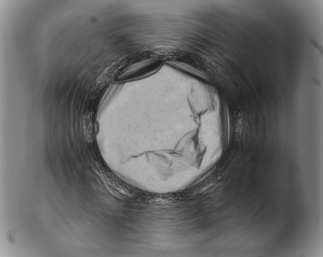 X0000100760868200807171339