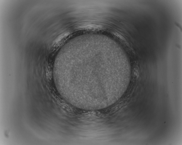 X0000100760869200807171339