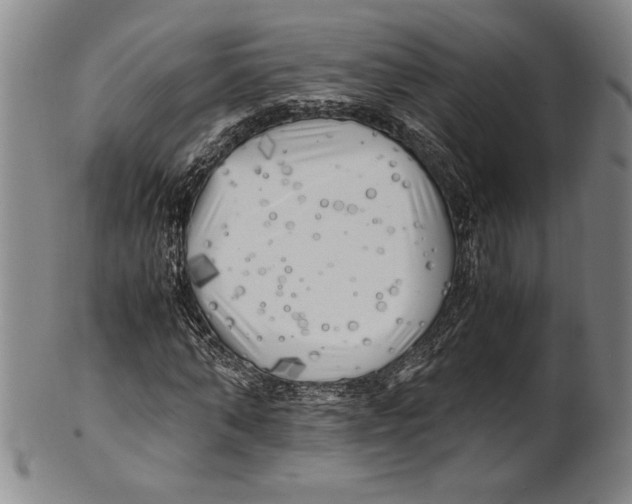 X0000100760870200807171339