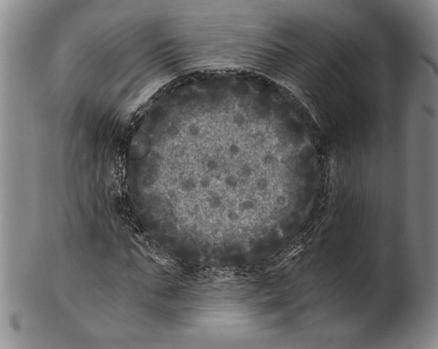 X0000100760871200807171339