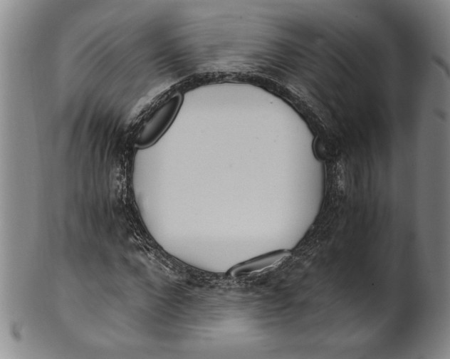 X0000100760872200807171339