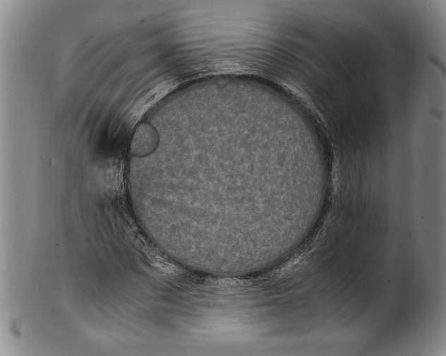 X0000100760873200807171339