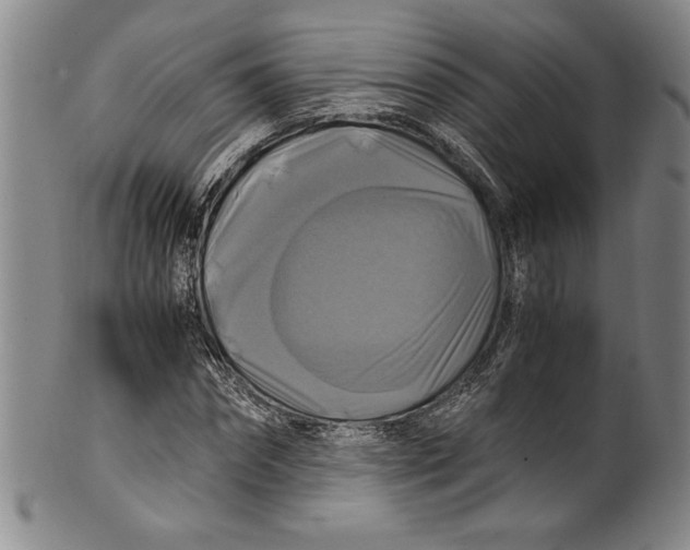 X0000100760874200807171339