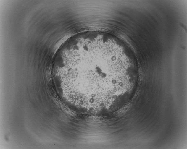X0000100760875200807171339