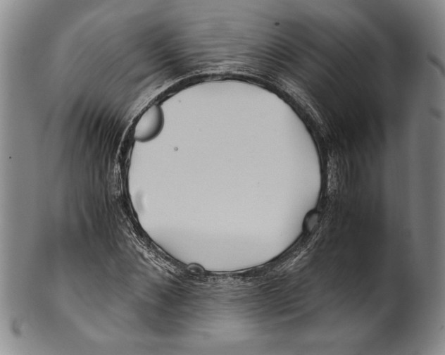 X0000100760876200807171339