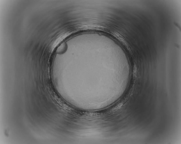 X0000100760877200807171339
