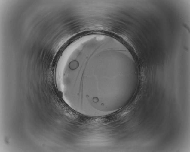 X0000100760879200807171339