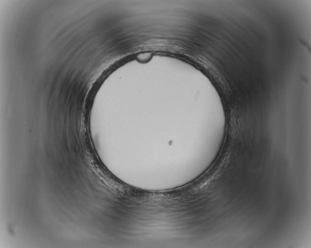 X0000100760880200807171339