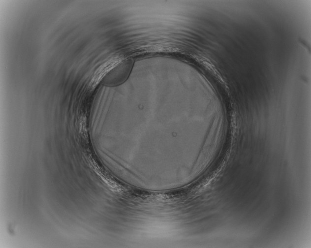 X0000100760881200807171339