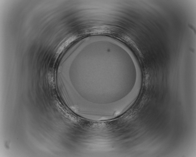 X0000100760882200807171339