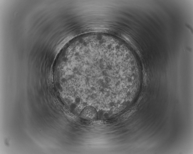 X0000100760883200807171339
