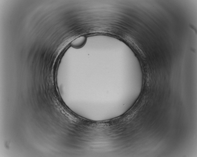 X0000100760884200807171339