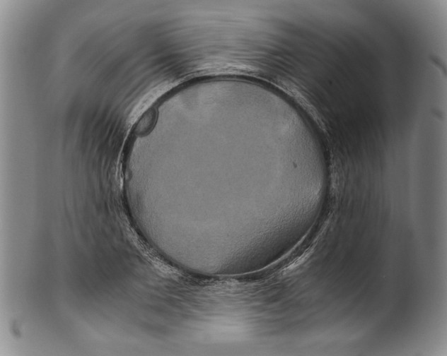 X0000100760885200807171339