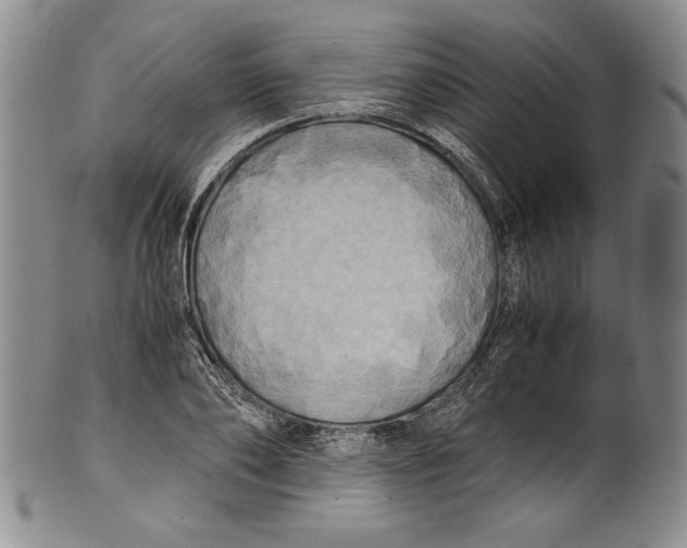 X0000100760886200807171339