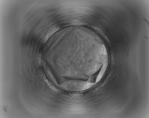 X0000100760889200807171339