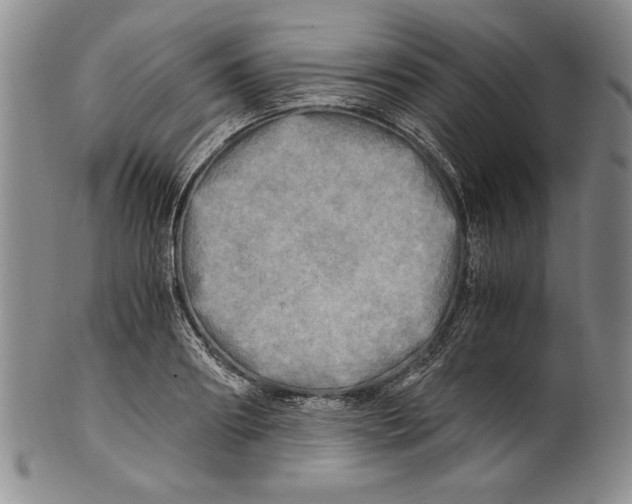 X0000100760890200807171339