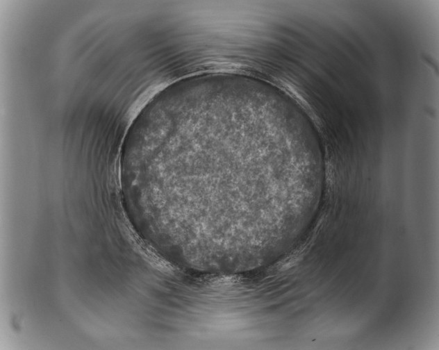 X0000100760891200807171339