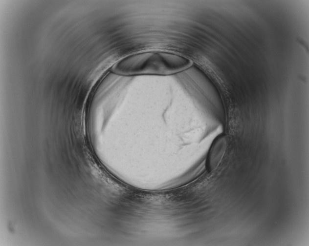 X0000100760892200807171339