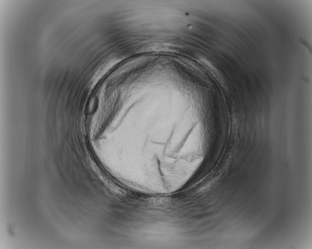 X0000100760893200807171339