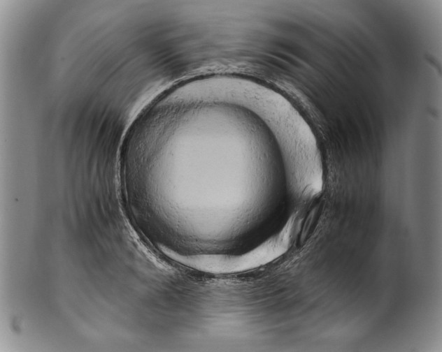X0000100760894200807171339