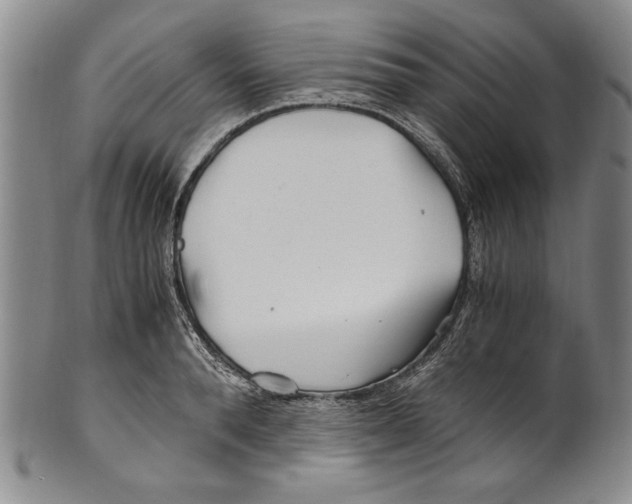 X0000100760896200807171339