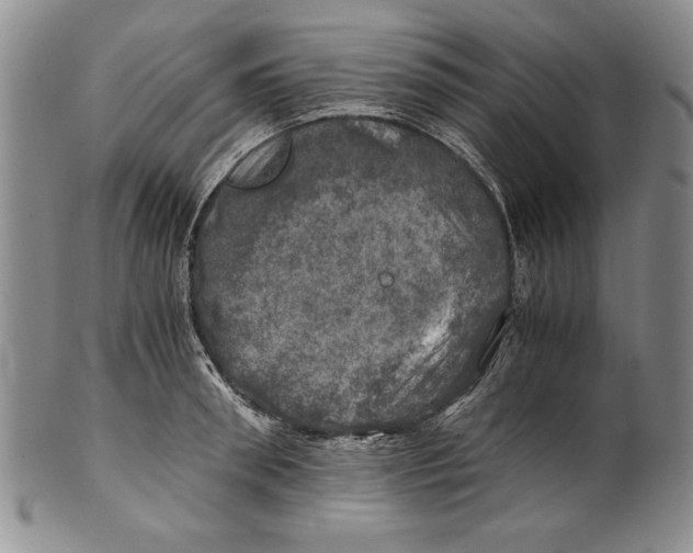 X0000100760898200807171339