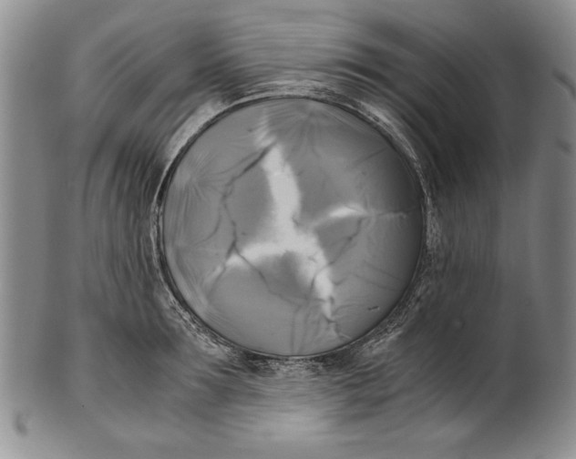 X0000100760899200807171339