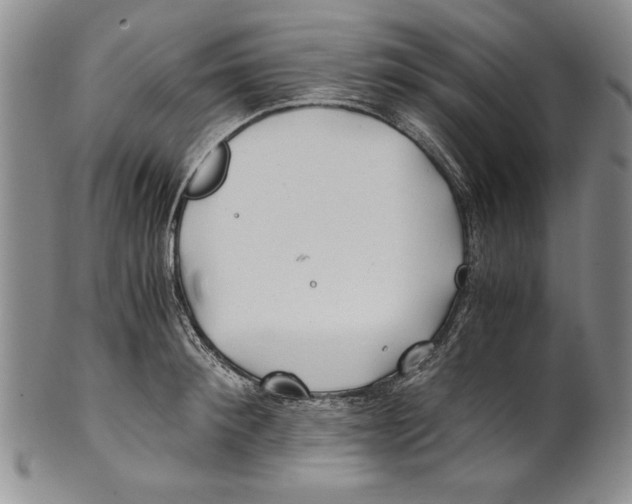 X0000100760900200807171339