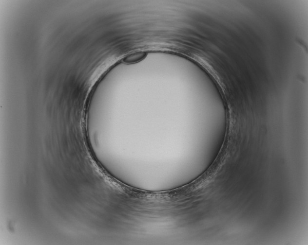 X0000100760901200807171339