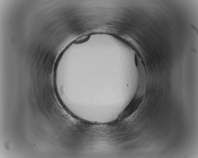 X0000100760902200807171339