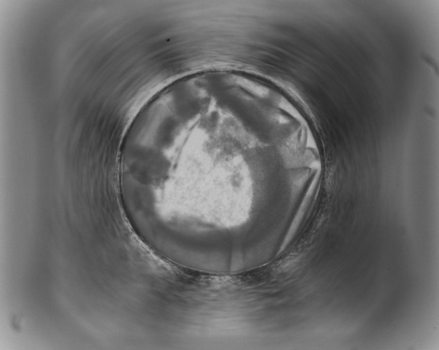 X0000100760903200807171339