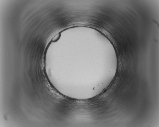 X0000100760904200807171339