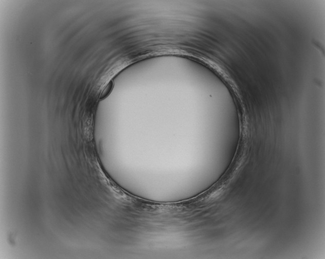 X0000100760905200807171339