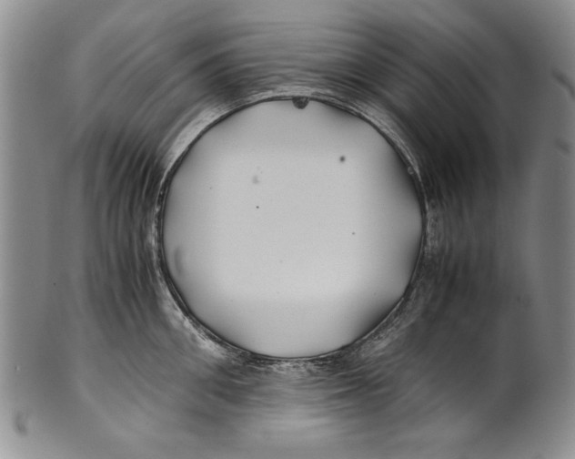 X0000100760906200807171339