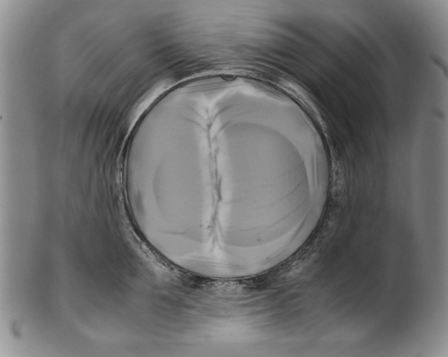 X0000100760907200807171339