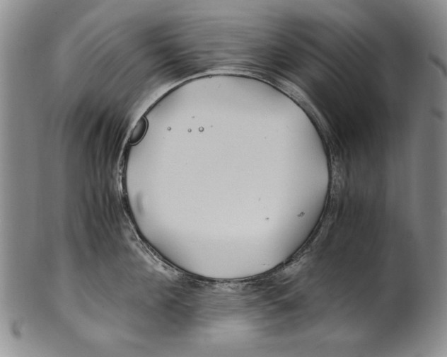 X0000100760908200807171339