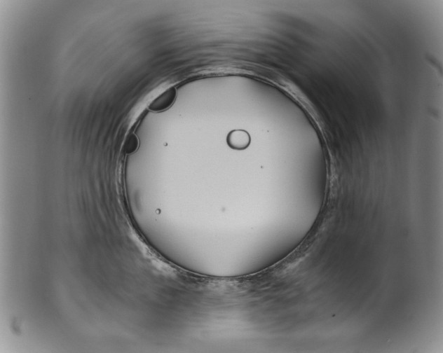 X0000100760909200807171339