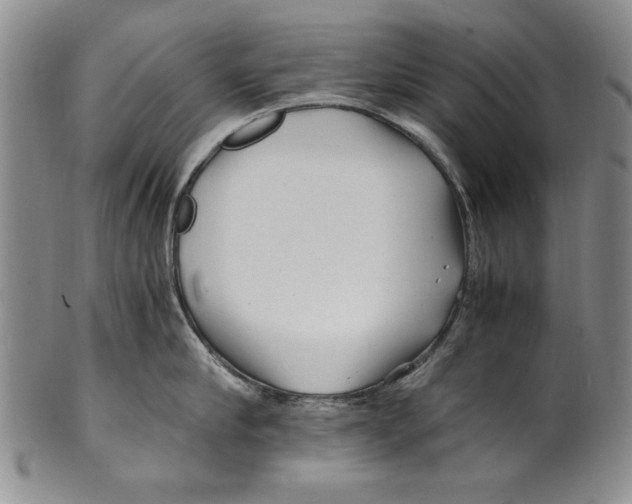 X0000100760910200807171339