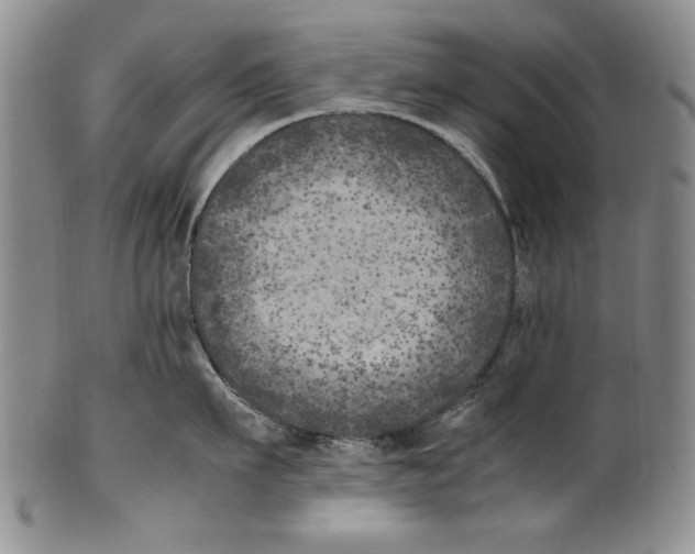 X0000100760911200807171339